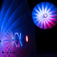Picture of Version 2 LED Umbrella